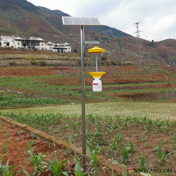 頻振式太陽能殺蟲燈價格 LED頻振式太陽能殺蟲燈廠家托普云農