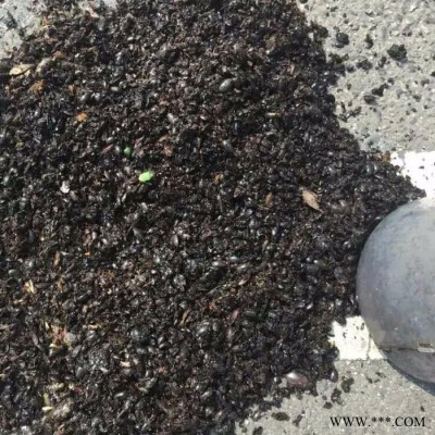 供應太陽能單晶硅電池板高效殺蟲燈湖南太陽能殺蟲燈廠家比昂牌殺蟲燈BR-TW-D 可批發