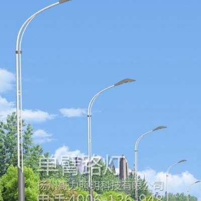 貴州 30W太陽能路燈   太陽能路燈系統