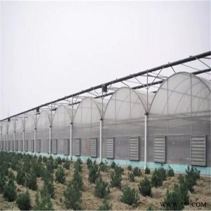 建設新型光伏大棚 江蘇連棟溫室大棚承接 旭航