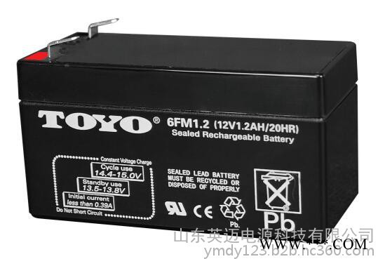 TOYO蓄電池6GFM100東洋免維護蓄電池12V100AH UPS不間斷電源專用 TOYO蓄電池報價參數 太陽能蓄電池