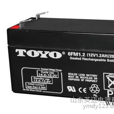 TOYO蓄電池6GFM100東洋免維護蓄電池12V100AH UPS不間斷電源專用 TOYO蓄電池報價參數 太陽能蓄電池