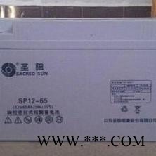 包郵圣陽(yáng)蓄電池SP12-65鉛酸免維護(hù)12V65ah UPS直流屏太陽(yáng)能專用
