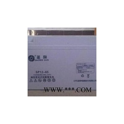 包郵圣陽(yáng)蓄電池SP12-65鉛酸免維護(hù)12V65ah UPS直流屏太陽(yáng)能專用
