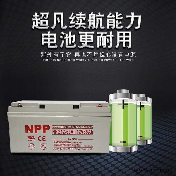 npp耐普npp12-65ah 太陽能蓄電池