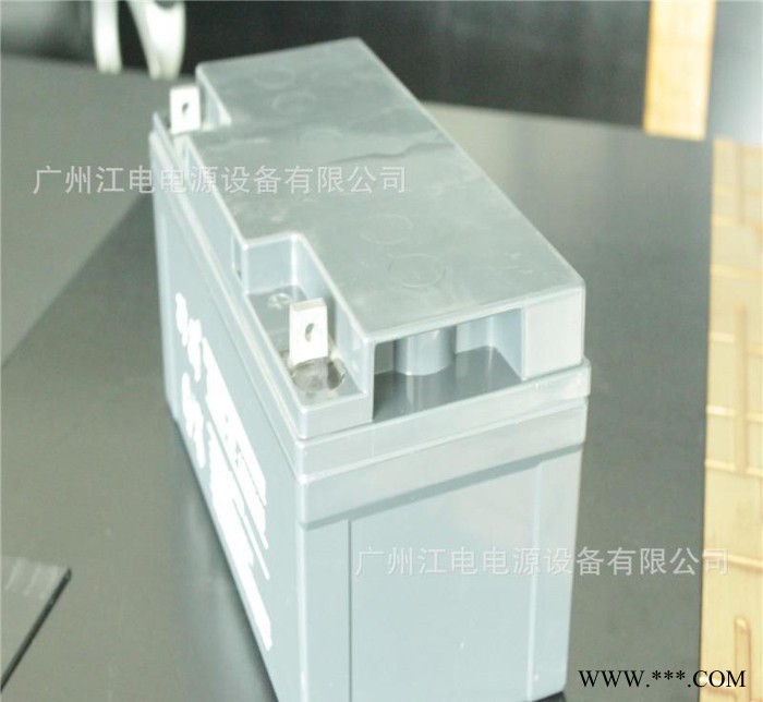 12v65AH免維護(hù)蓄電池 太陽能儲能鉛酸蓄電池12V65A