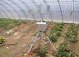 KY-100型潛熱通量監測系統