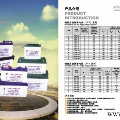 威利高科6-CNF-100蓄電池湖北恩施土家族新農村太陽能蓄電池（廠家直逼580） 膠體免維護蓄電池