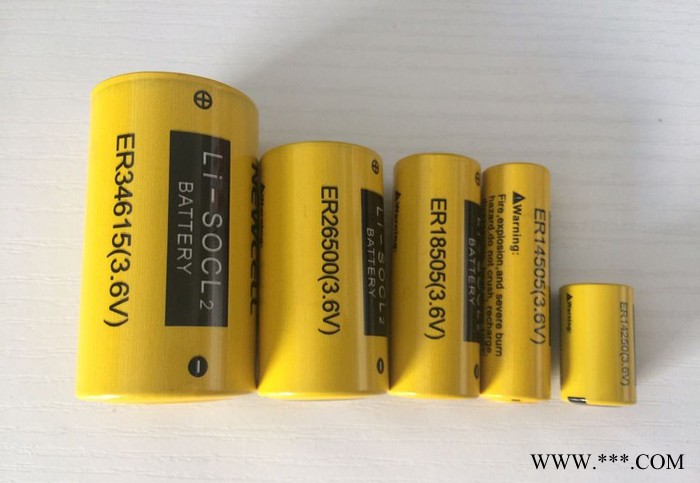 NEWCELLER34615 鋰電池 大容量鋰亞電池 ** 可搭配復(fù)合超容電池 智能儀器儀器電源