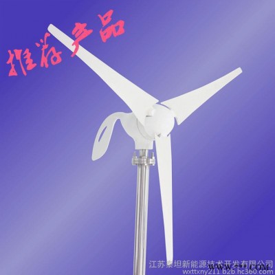 300W水平軸風(fēng)力發(fā)電機