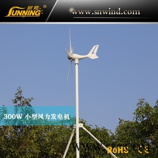 供應黑龍江遼寧吉林地區 400w小型風力發電機 風力發電機組 風光互補漁船家用路燈供電系統 **