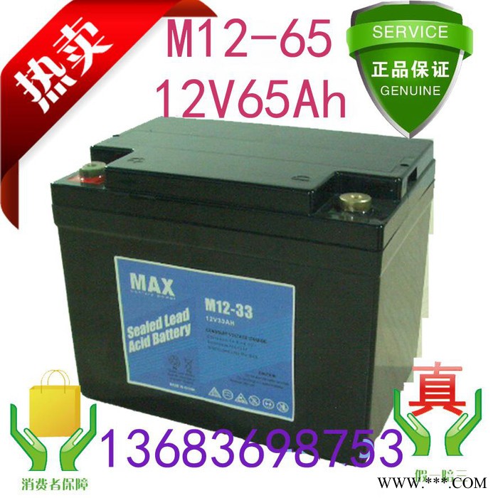 MAX 蓄電池 M12-200風力發電專用