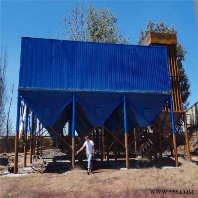 工業(yè)鍋爐布袋除塵器 生物質(zhì)鍋爐除塵器 工業(yè)粉塵處理設(shè)備 玉嘉環(huán)保 實體廠家