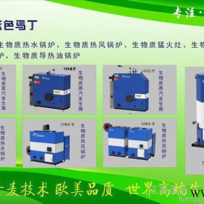生物質(zhì)鍋爐“藍(lán)色馬丁”品牌　洗浴　取暖　整燙 洗滌