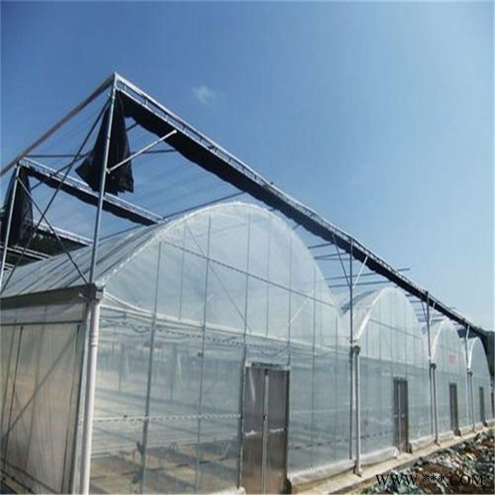 新型智能連棟溫室大棚 吉林光伏溫室廠家 旭航