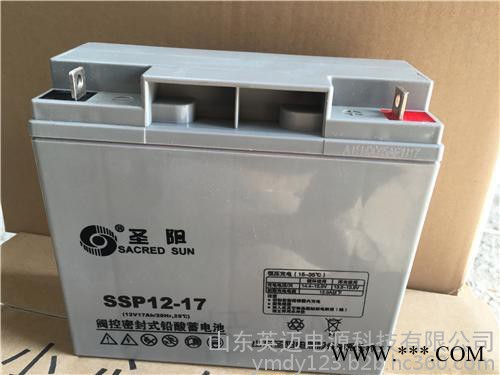 圣陽蓄電池SP12-38免維護蓄電池12V38AH 太陽能光伏發電專用儲能蓄電池 通信電源內置48V電池 UPS專用