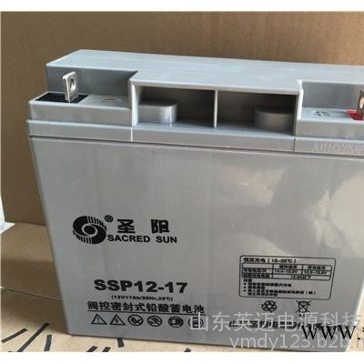圣陽蓄電池SP12-38免維護蓄電池12V38AH 太陽能光伏發電專用儲能蓄電池 通信電源內置48V電池 UPS專用