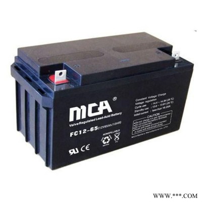 銳牌MCA蓄電池FC12-120中商國通蓄電池12V120AH光伏發(fā)電UPS蓄電池直流屏EPS蓄電池 機房配電室蓄電池