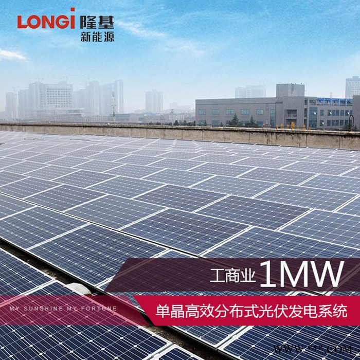 隆基 1MW工商業分布式光伏發電系統 光伏應用 光伏電站 價格面議