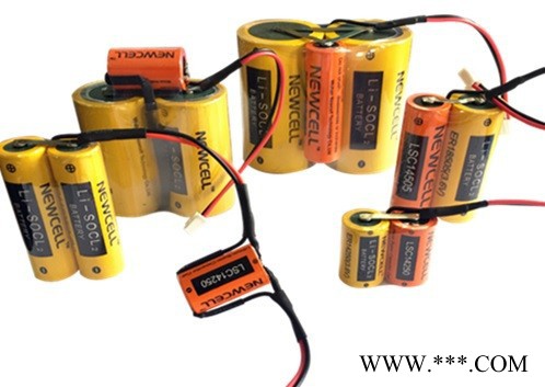 NEWCELLER26500 鋰電池 3.6V 流量表計(jì)量表電池 煤氣表電池 可配插頭