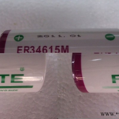 Forte 高容量 3.6V鋰電池ER34615M  D型  SIZE