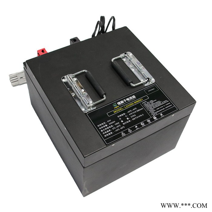 全?？萍捡{駛式洗地機電池24V200Ah 洗地機鋰電池組L24200-WM001配充電器 29.2V30A