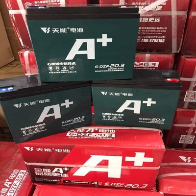 天能60V20.3AH 動(dòng)力蓄電池 20.3AH的電瓶 48V60V72V20A電動(dòng)車電池