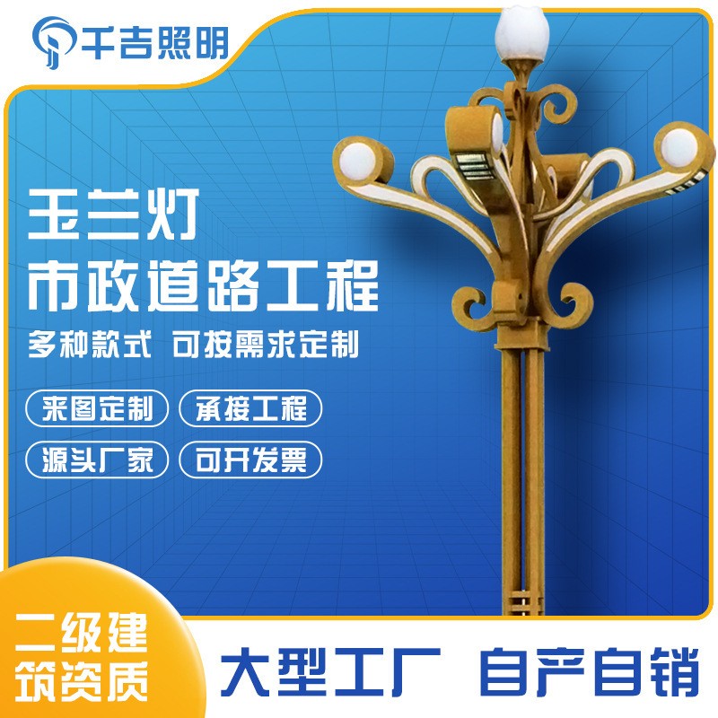 源頭廠家廣場景觀燈8/12米景區led戶外燈工程道路市政道路玉蘭燈