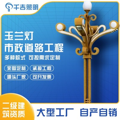 源頭廠家廣場景觀燈8/12米景區led戶外燈工程道路市政道路玉蘭燈