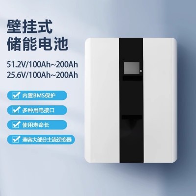 全新磷酸鐵鋰電芯UPS逆變器51.2V100壁掛式25.6V200AH內置BMS系統