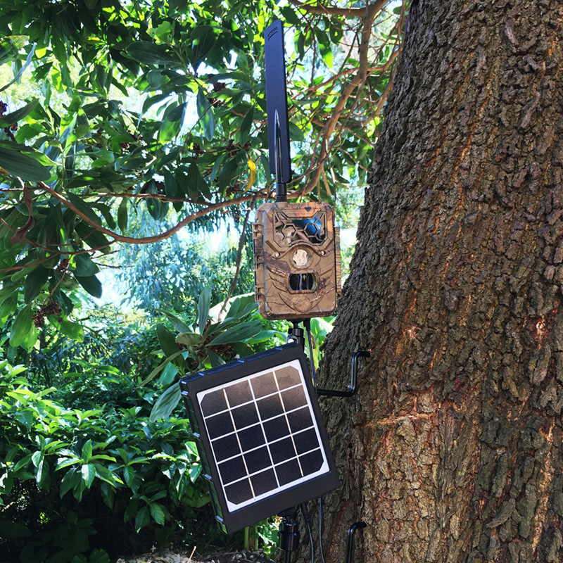 Tree Support For Trail Camera