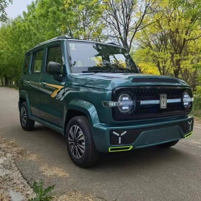 家用成人老年代步車新能源全封閉油電兩用轎車新款坦克電動(dòng)四輪車