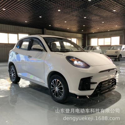 電動轎車電動四輪車家用代步車油電兩用冷暖空調(diào)新能源低速電瓶車