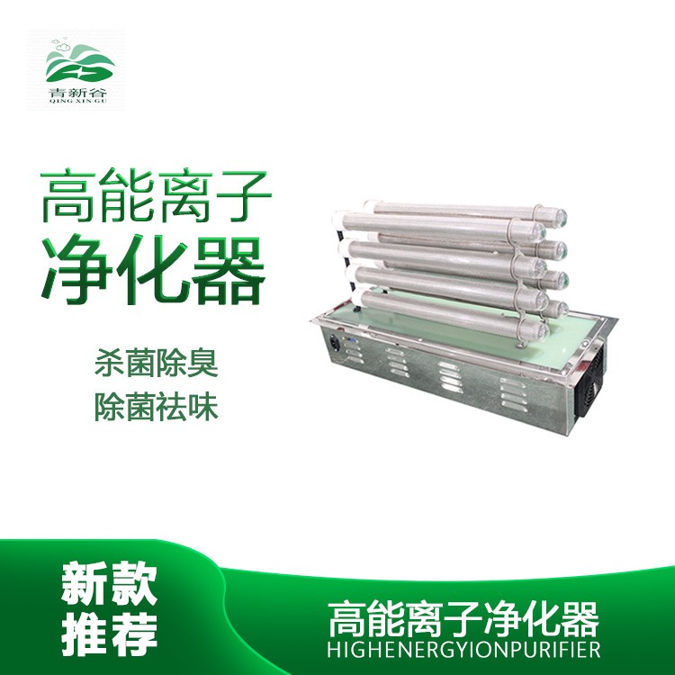 新智能工業處理高能離子管空氣凈化器 廠家直銷除臭殺菌專用設備