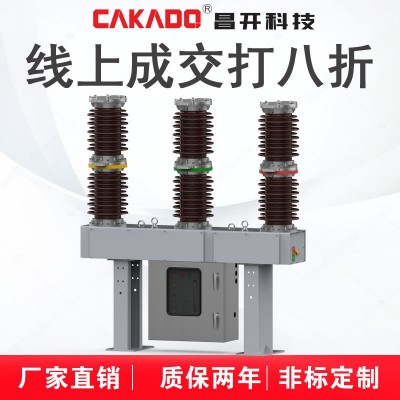 廠家直銷(xiāo)35KV戶外高壓真空斷路器ZW7-40.5出口型真空斷路器
