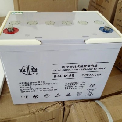 雙登蓄電池6-GFM-100免維護(hù)鉛酸蓄電池12V100AHUPS/EPS直流屏電池