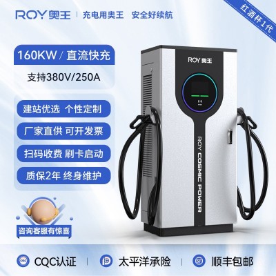 ROY奧王新能源電動汽車直流充電樁國標快充落地式商用建造充電站